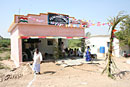 IMG_7390-t.jpg