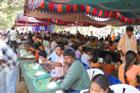 DSC_4684-t.jpg
