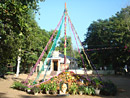 DSC01757-t.jpg