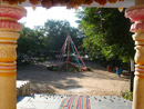 DSC01761-t.jpg