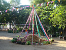 DSC01764-t.jpg