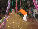 DSC01797-t.jpg