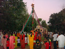 DSC01798-t.jpg